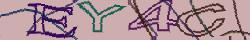 Retype the CAPTCHA code from the image